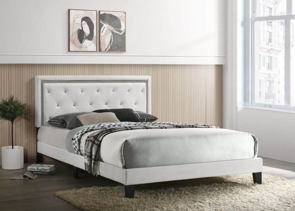 Bed queen passion white pu