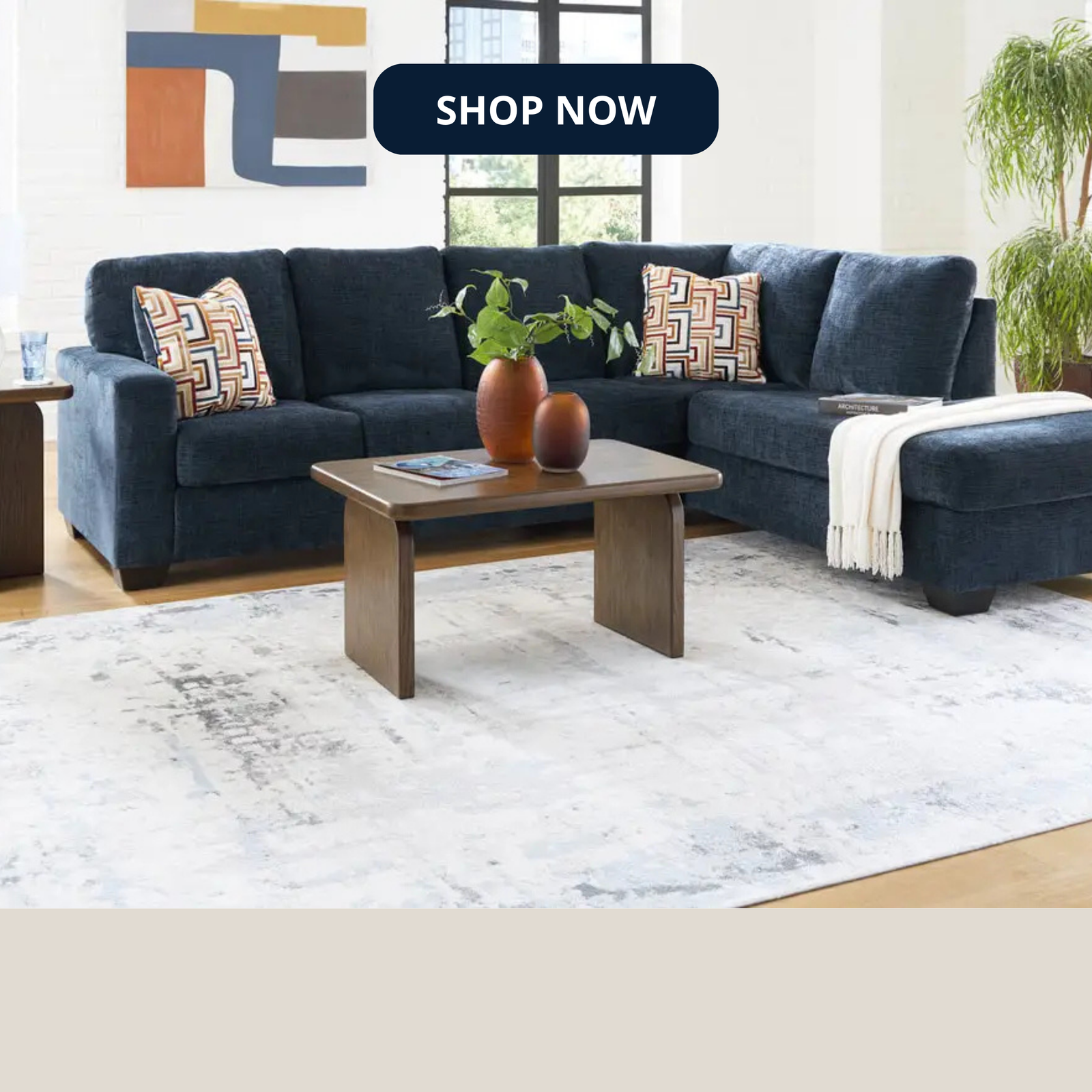 Living Room in houston